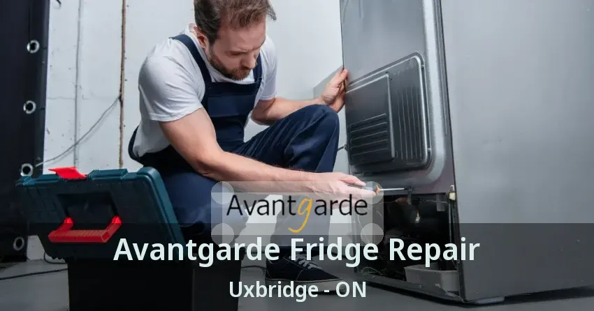 Avantgarde Fridge Repair Uxbridge - ON