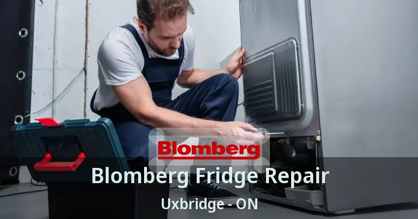 Blomberg Fridge Repair Uxbridge - ON