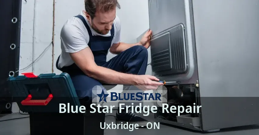 Blue Star Fridge Repair Uxbridge - ON