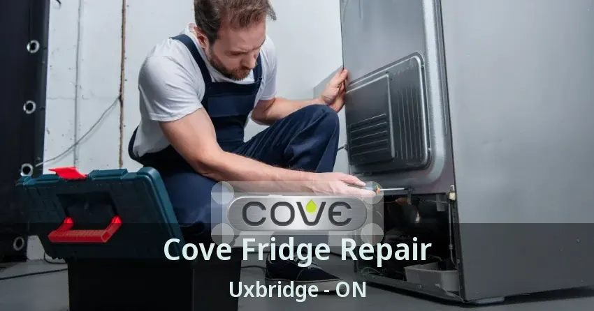 Cove Fridge Repair Uxbridge - ON