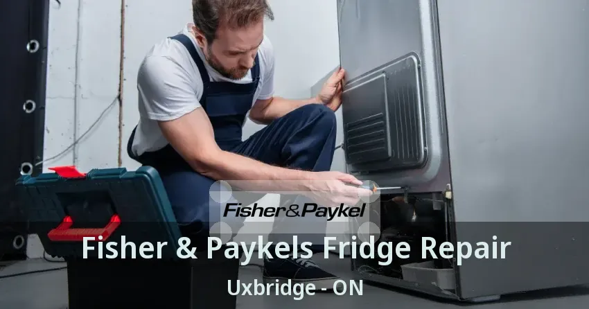 Fisher & Paykels Fridge Repair Uxbridge - ON