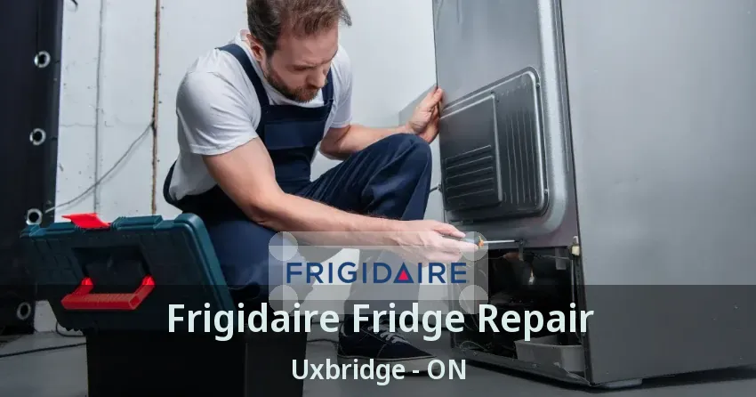 Frigidaire Fridge Repair Uxbridge - ON