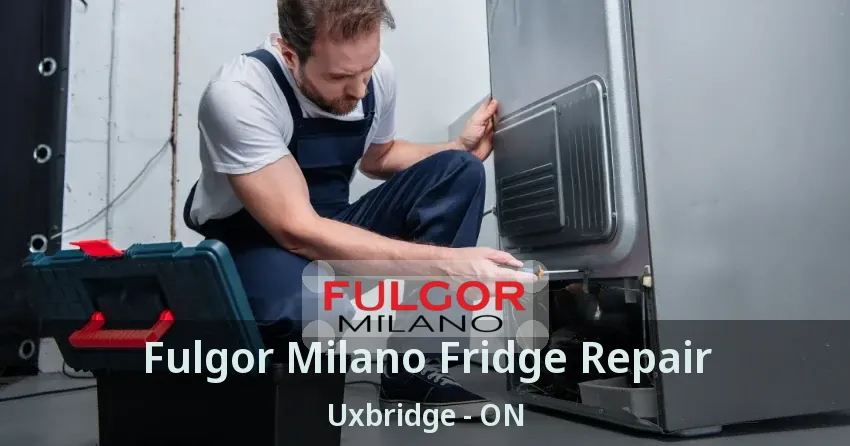 Fulgor Milano Fridge Repair Uxbridge - ON