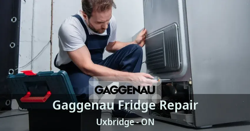 Gaggenau Fridge Repair Uxbridge - ON
