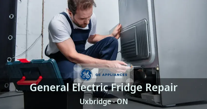 General Electric Fridge Repair Uxbridge - ON