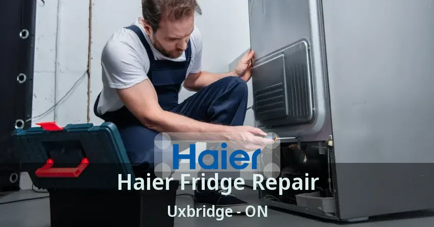 Haier Fridge Repair Uxbridge - ON