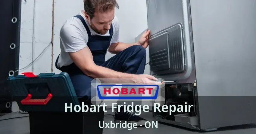 Hobart Fridge Repair Uxbridge - ON