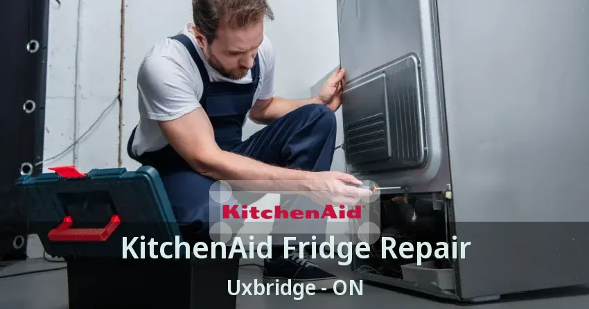 KitchenAid Fridge Repair Uxbridge - ON