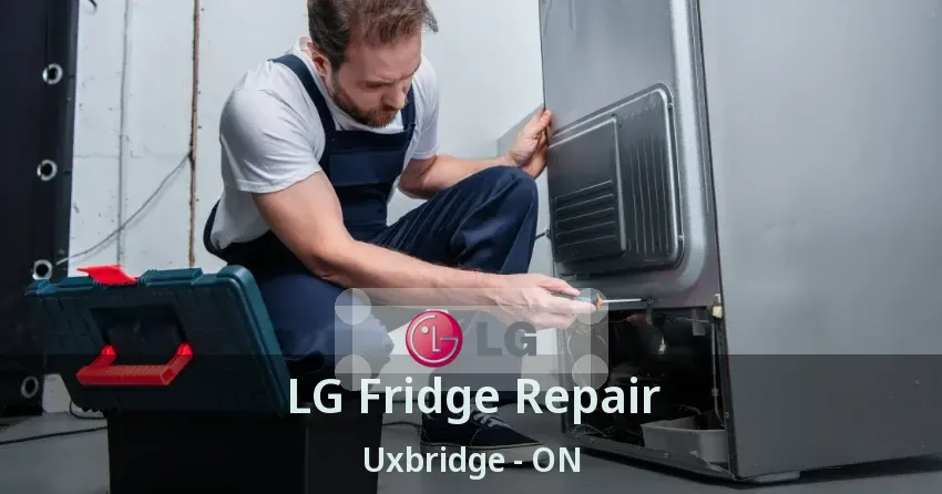 LG Fridge Repair Uxbridge - ON