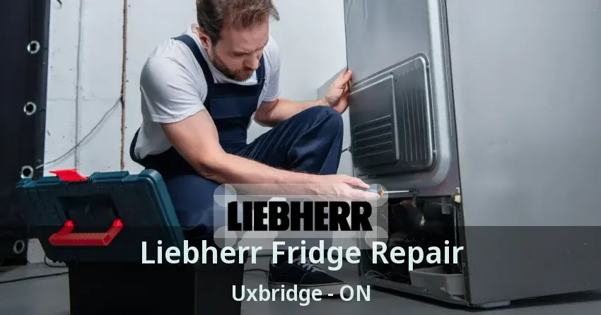 Liebherr Fridge Repair Uxbridge - ON