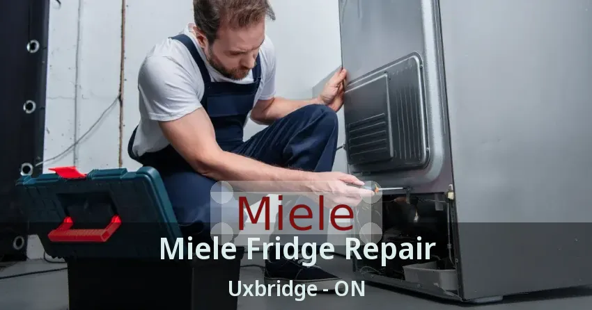 Miele Fridge Repair Uxbridge - ON