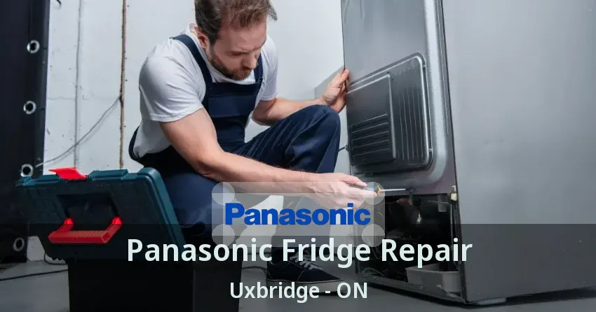 Panasonic Fridge Repair Uxbridge - ON
