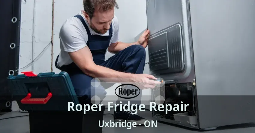 Roper Fridge Repair Uxbridge - ON