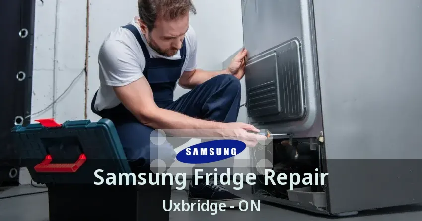 Samsung Fridge Repair Uxbridge - ON