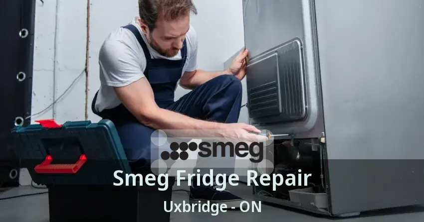 Smeg Fridge Repair Uxbridge - ON