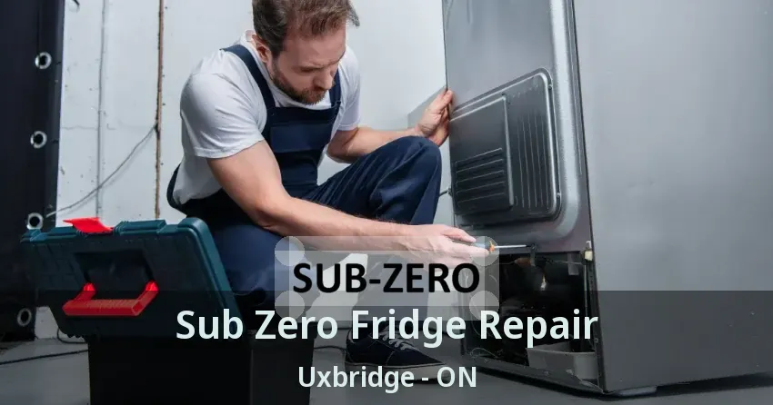 Sub Zero Fridge Repair Uxbridge - ON