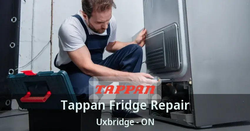 Tappan Fridge Repair Uxbridge - ON