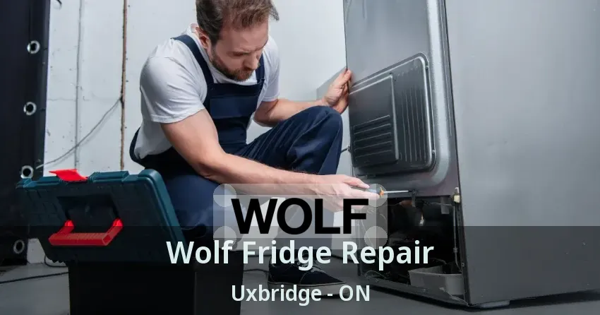 Wolf Fridge Repair Uxbridge - ON
