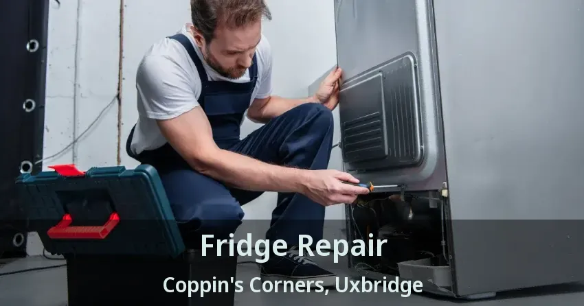 Fridge Repair Coppin's Corners, Uxbridge - ON
