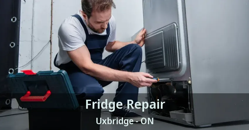 Fridge Repair Uxbridge - ON