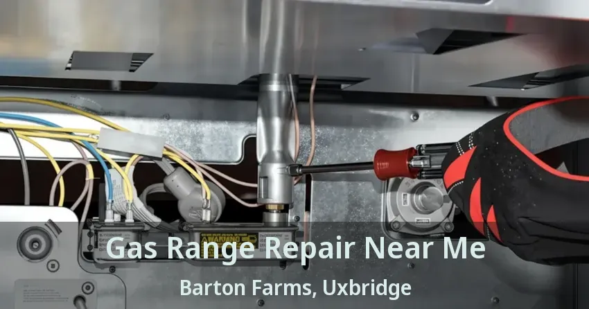 Gas Range Repair Near Me Barton Farms, Uxbridge - ON