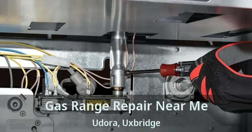 Gas Range Repair Near Me Udora, Uxbridge - ON