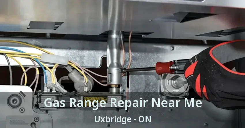 Gas Range Repair Near Me Uxbridge - ON