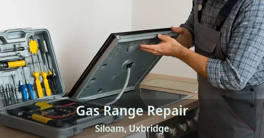 Gas Range Repair Siloam, Uxbridge - ON