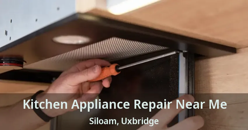 Kitchen Appliance Repair Near Me Siloam, Uxbridge - ON