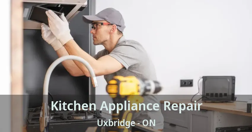 Kitchen Appliance Repair Uxbridge - ON
