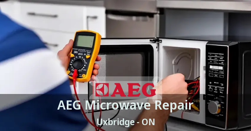 AEG Microwave Repair Uxbridge - ON