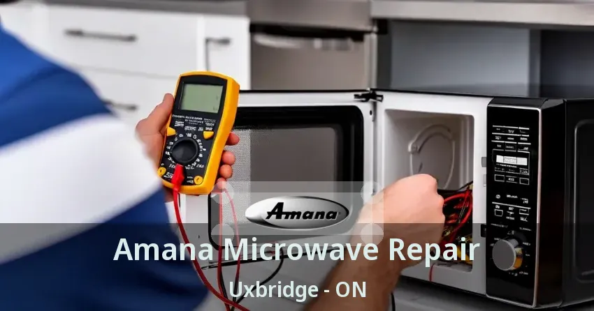 Amana Microwave Repair Uxbridge - ON