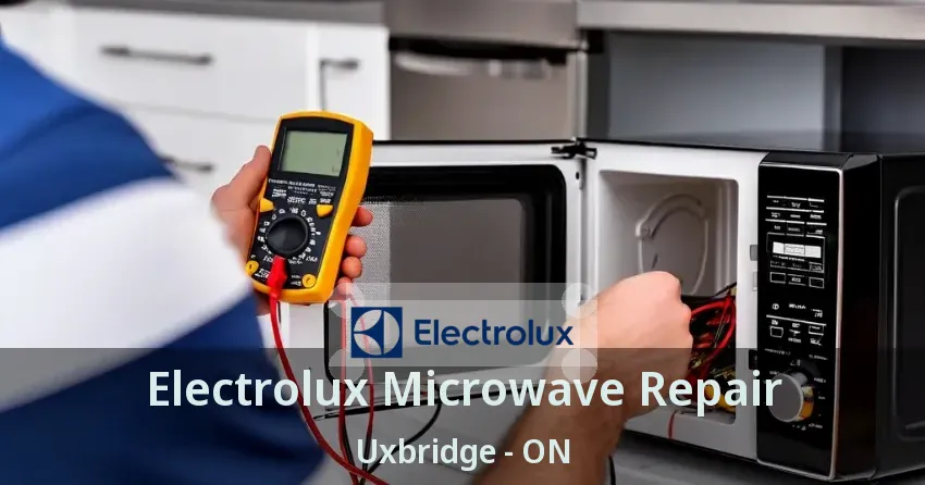Electrolux Microwave Repair Uxbridge - ON
