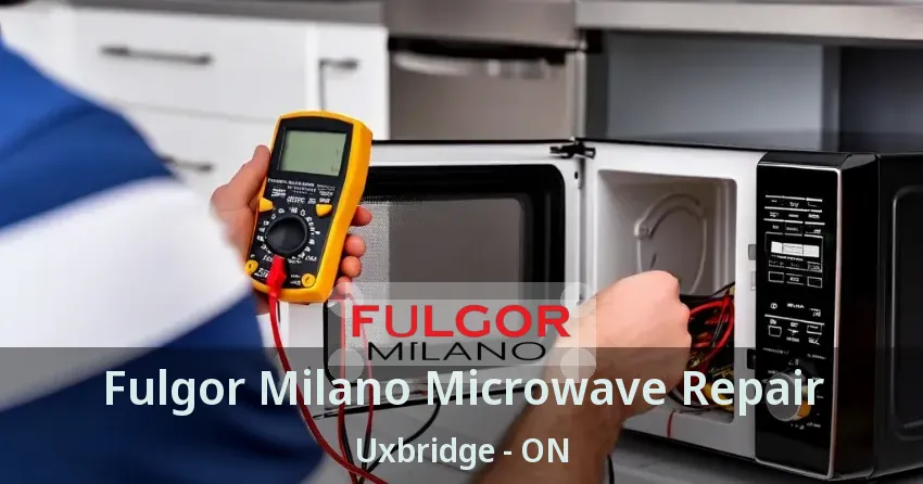 Fulgor Milano Microwave Repair Uxbridge - ON