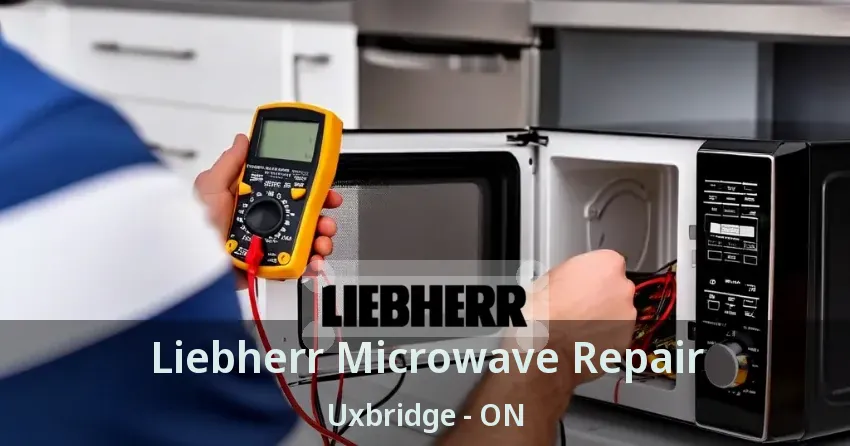 Liebherr Microwave Repair Uxbridge - ON
