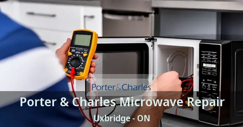 Porter & Charles Microwave Repair Uxbridge - ON