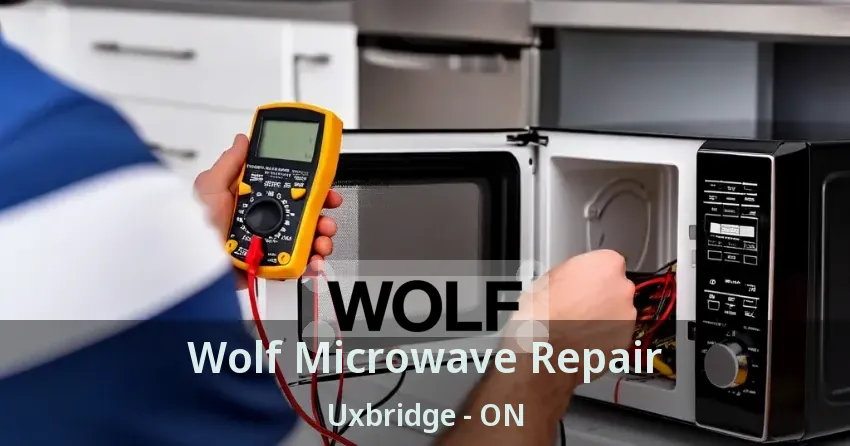 Wolf Microwave Repair Uxbridge - ON