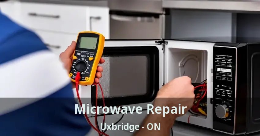 Microwave Repair Uxbridge - ON