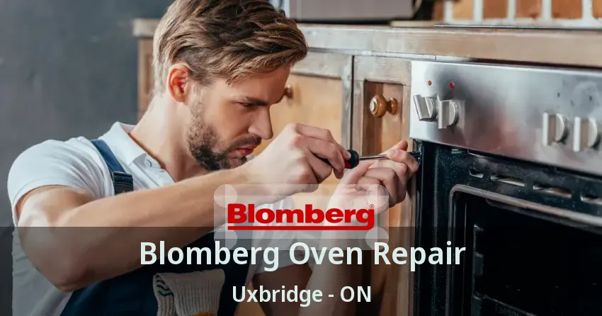Blomberg Oven Repair Uxbridge - ON