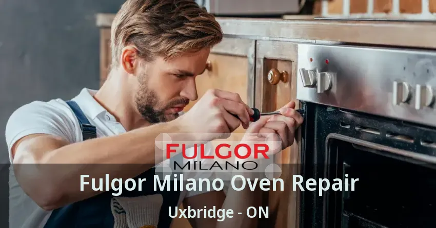 Fulgor Milano Oven Repair Uxbridge - ON