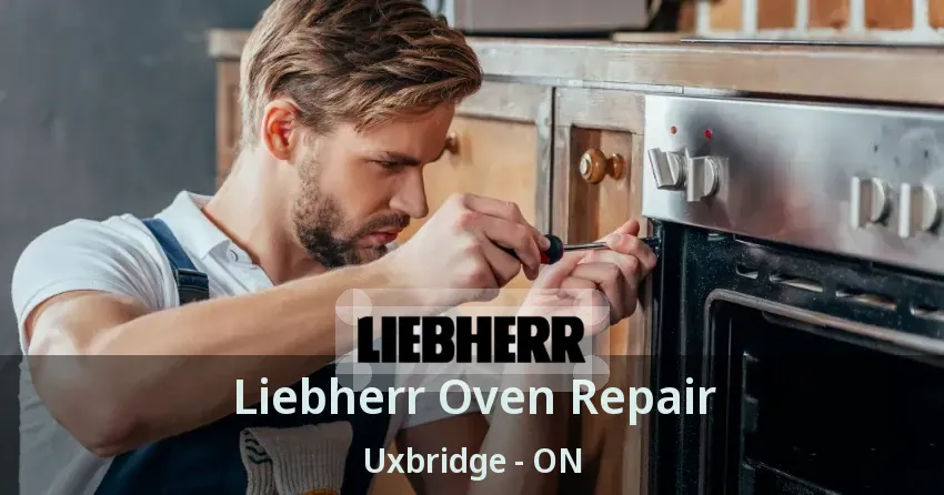 Liebherr Oven Repair Uxbridge - ON