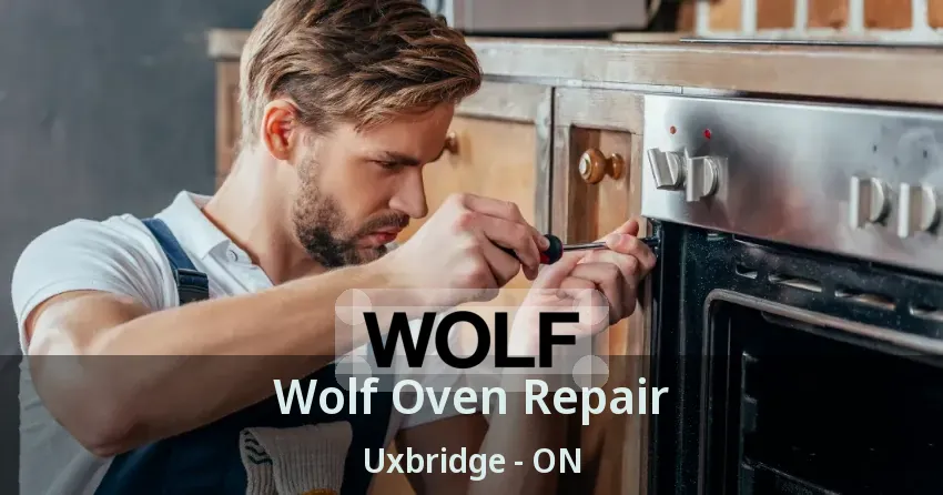 Wolf Oven Repair Uxbridge - ON