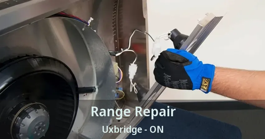 Range Repair Uxbridge - ON