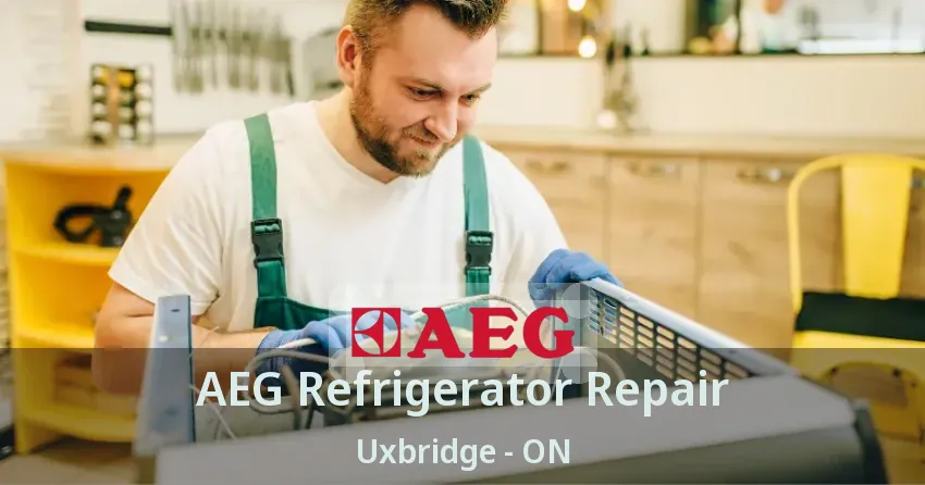 AEG Refrigerator Repair Uxbridge - ON