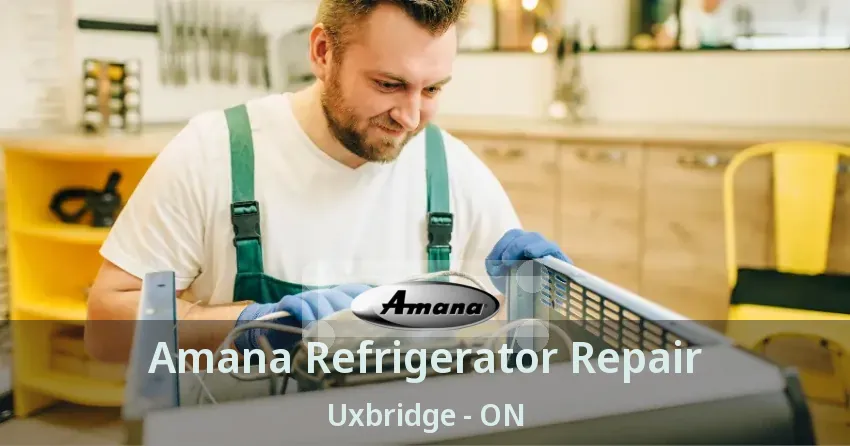 Amana Refrigerator Repair Uxbridge - ON
