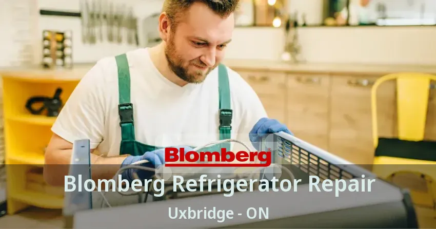 Blomberg Refrigerator Repair Uxbridge - ON