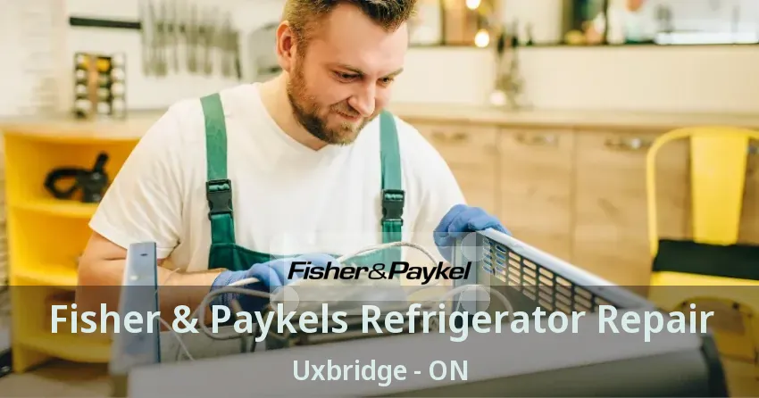 Fisher & Paykels Refrigerator Repair Uxbridge - ON