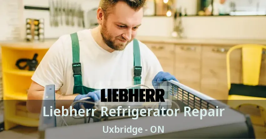 Liebherr Refrigerator Repair Uxbridge - ON