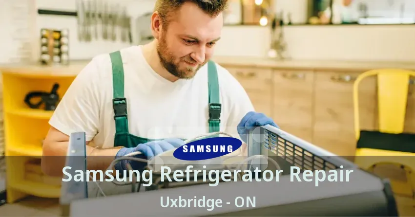 Samsung Refrigerator Repair Uxbridge - ON