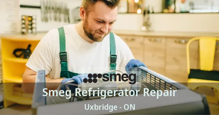 Smeg Refrigerator Repair Uxbridge - ON